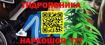 дживик Ставрополь