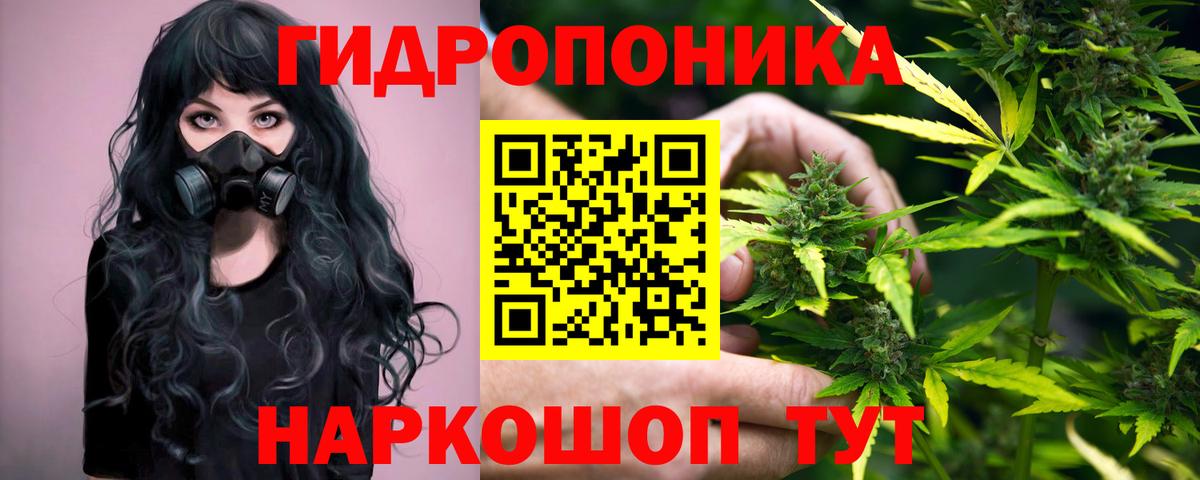 Канабис Amnesia  Вход с VPN  Бошки Шишки ГИДРОПОН  Подольск 
